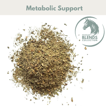 Metabolic Support blend