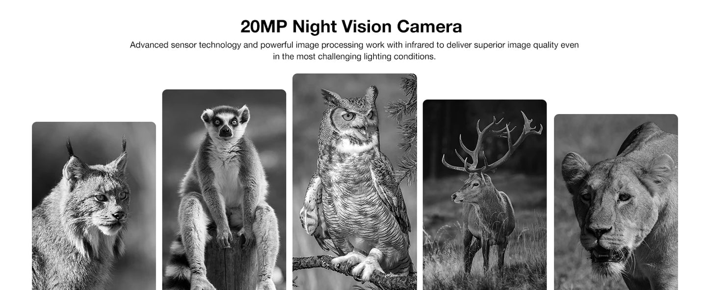 DOOGEE V Max Plus 5G Rugged Phone 6.58" Dimensity 7050 16GB+512GB Lighting Effects 22000mAh Battery 200MP AI Camera Cell Phone