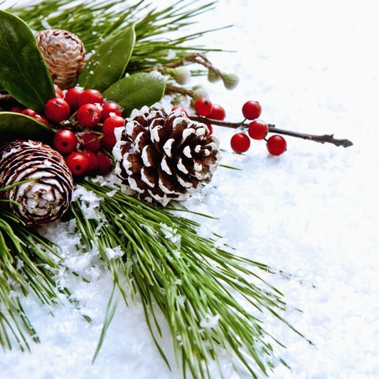 30 Pcs Christmas Decorative Pine Cone Pendants Natural Pine Cone White Paint Dyed Pine Cone Christmas Tree Ornaments