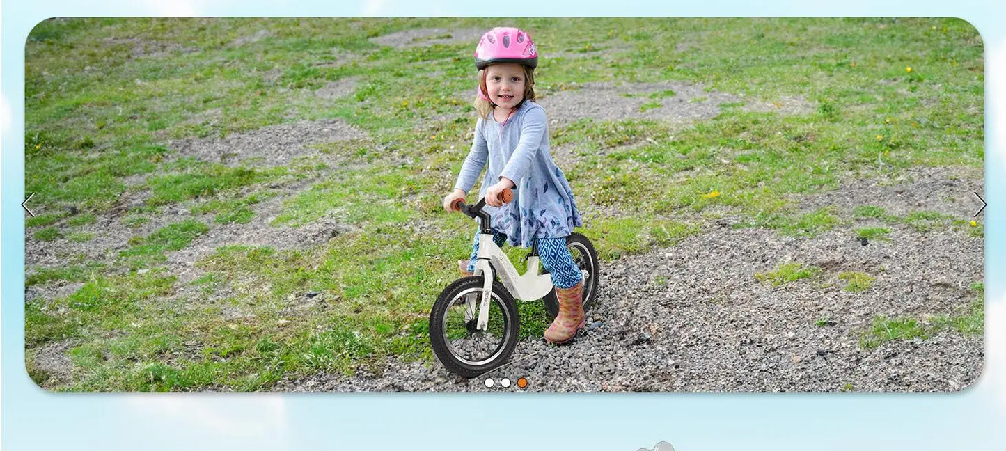 14" Kids Balance Bike for 3,4,5,6 Year Old Boys and Girls, Air Tires with Magnesium Alloy Frame, Lightweight No Pedal Toddler Tr