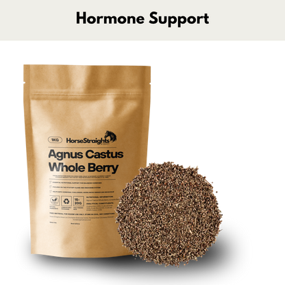 Agnus Castus - Chaste Tree - Whole Berry