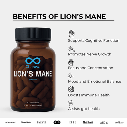 Lions Mane Mushroom 500mg